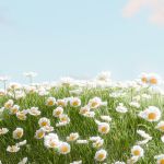 The role of sound in creating memorable video experiences